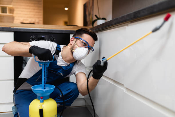 Best Residential Pest Control  in Pacific City, OR