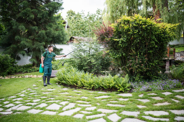 Best Affordable Pest Control Services  in Pacific City, OR