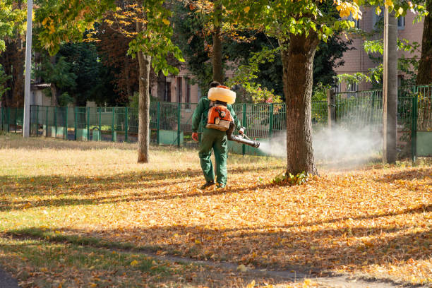 Professional Pest Control in Pacific City, OR
